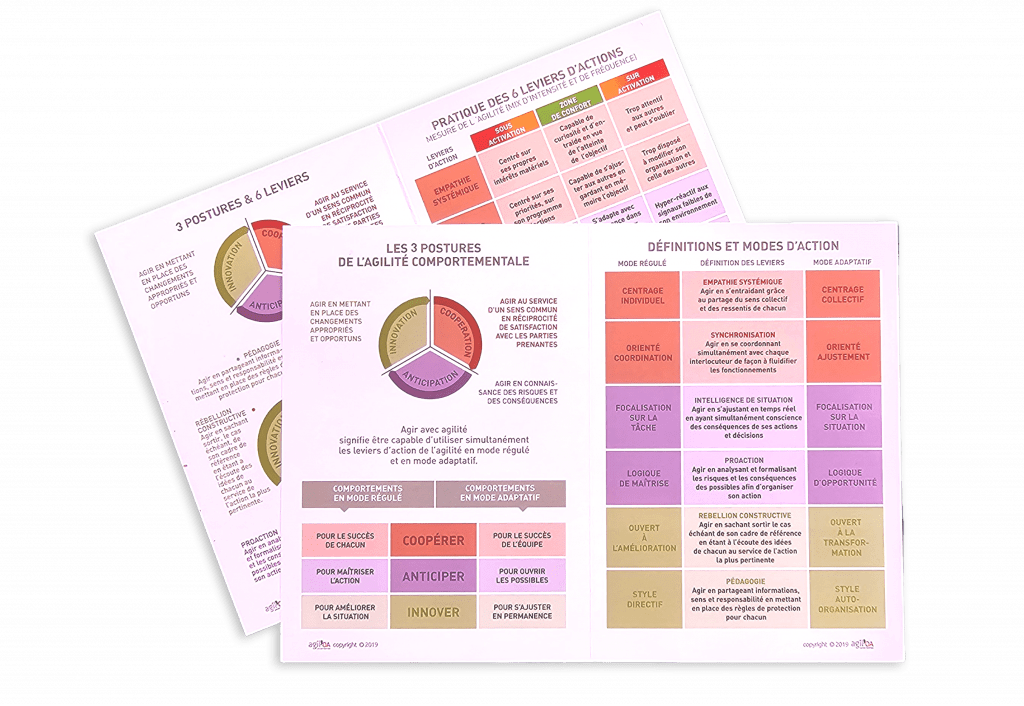 Boutique Agile Profile